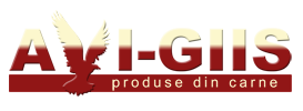 AVI GIIS SRL