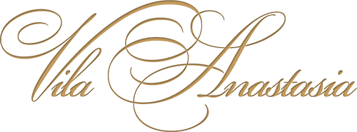 EUROSTIL ART PROIECT VILA ANASTASIA