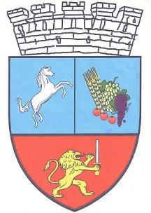 PRIMĂRIA POIANA MARE