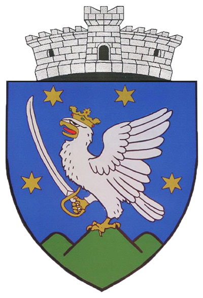 PRIMĂRIA GHIDFALĂU