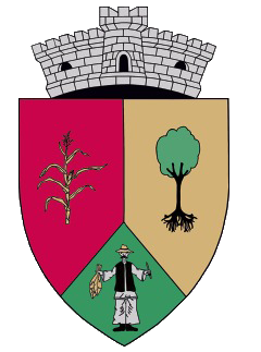 PRIMĂRIA DOROBANŢI