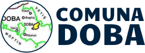 PRIMĂRIA DOBA