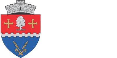PRIMĂRIA FOROTIC