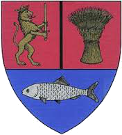 PRIMĂRIA MOŢĂŢEI