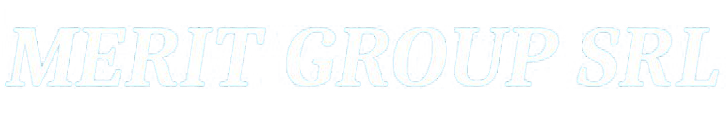 MERIT GROUP SRL