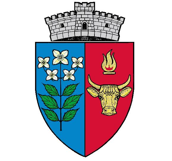 PRIMĂRIA GREBENIŞU DE CÂMPIE