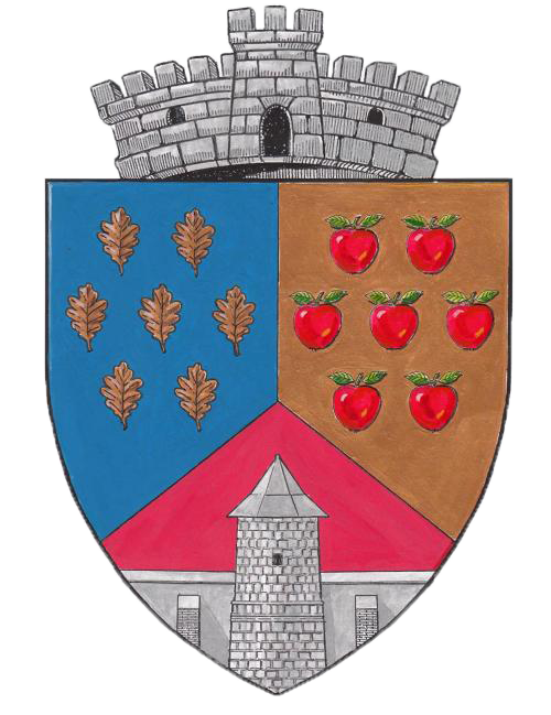 PRIMĂRIA BĂLILEŞTI