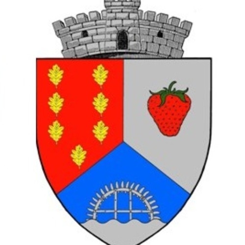 PRIMĂRIA ALBEŞTII DE ARGEŞ