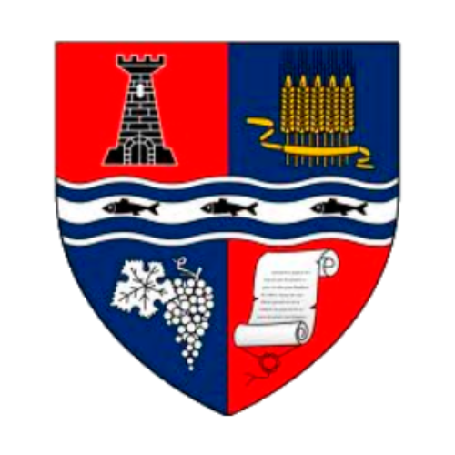 PRIMĂRIA AVRAM IANCU