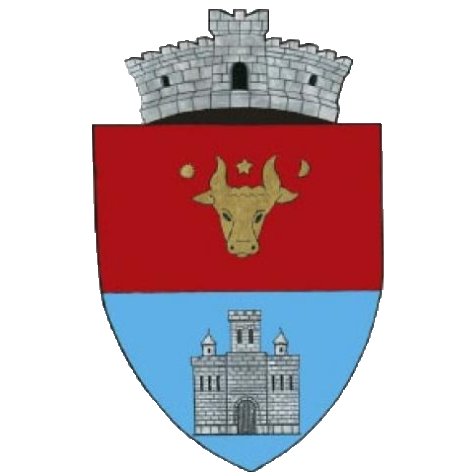 PRIMĂRIA CETATEA DE BALTĂ