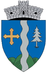 PRIMĂRIA BUGHEA DE JOS