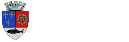 PRIMĂRIA URZICENI