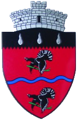 PRIMĂRIA CÂRLIBABA