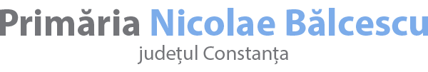 PRIMĂRIA NICOLAE BĂLCESCU