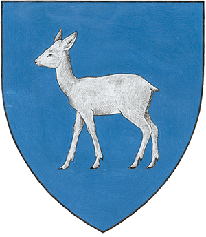 Consiliul Judetean Dambovita