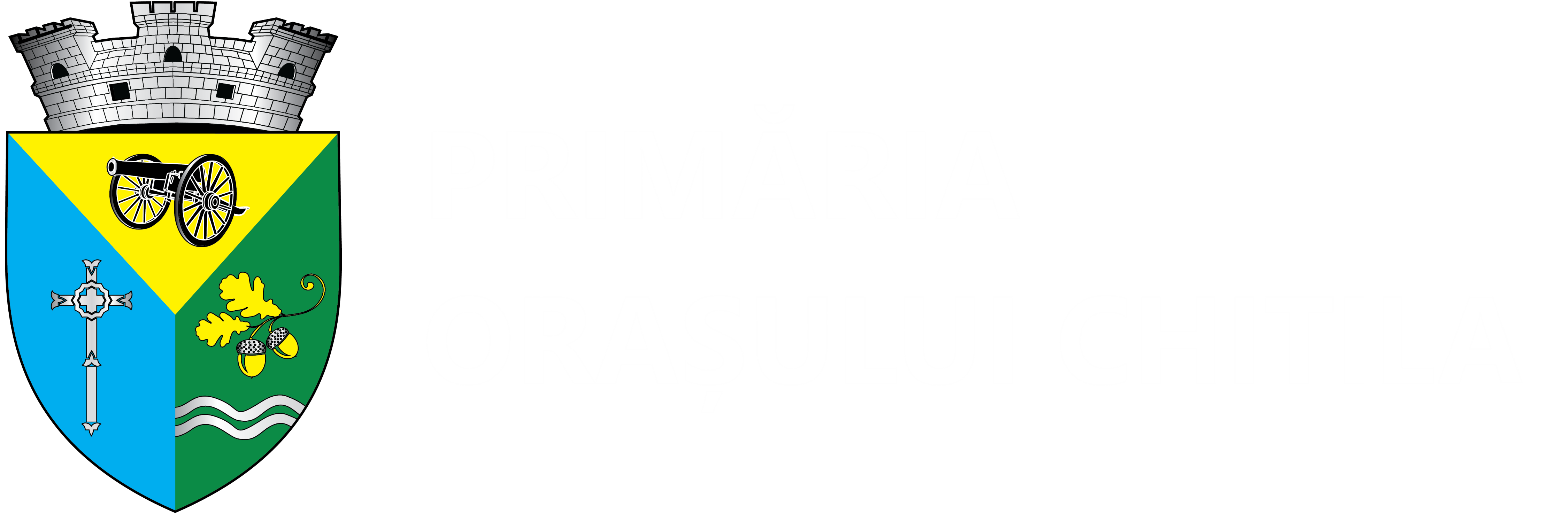 PRIMĂRIA CHITILA