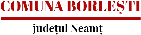 PRIMĂRIA BORLEŞTI
