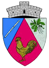 PRIMĂRIA BUCOŞNIŢA