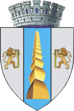 PRIMĂRIA TÂRGU JIU