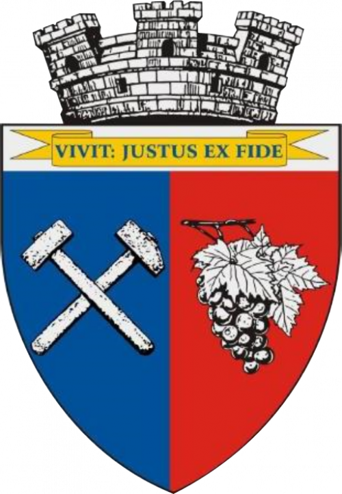 PRIMĂRIA TĂUŢII MĂGHERĂUŞ