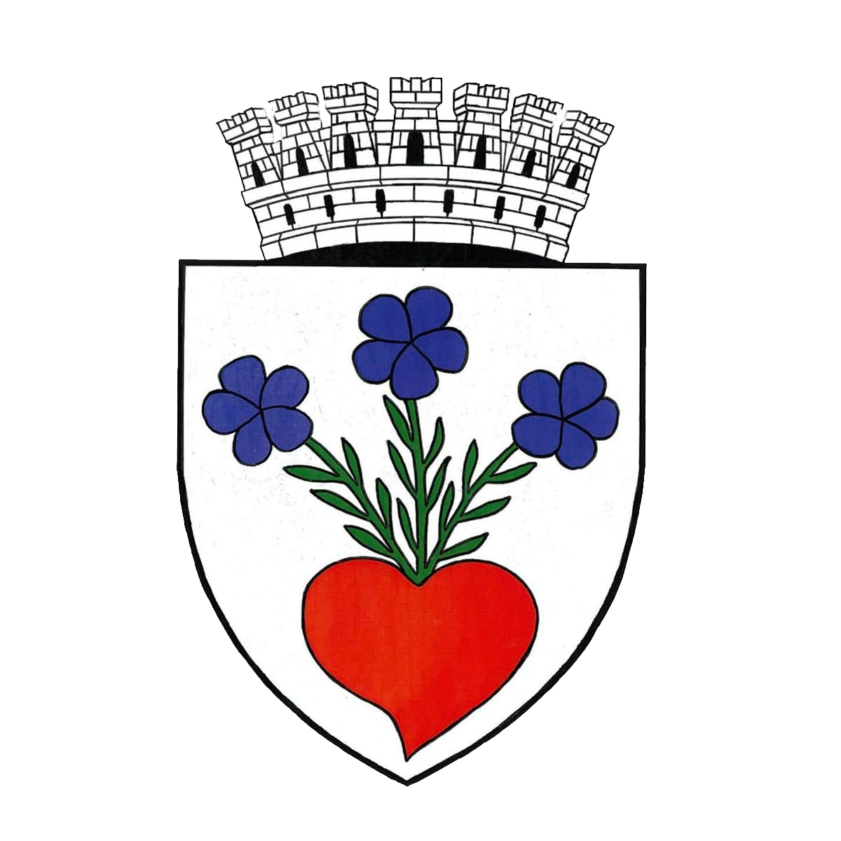 PRIMĂRIA MIERCUREA CIUC