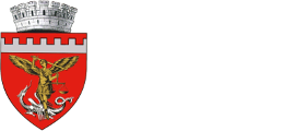 PRIMĂRIA ZALĂU
