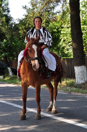 NEDEIE da la Sf. Ilie,