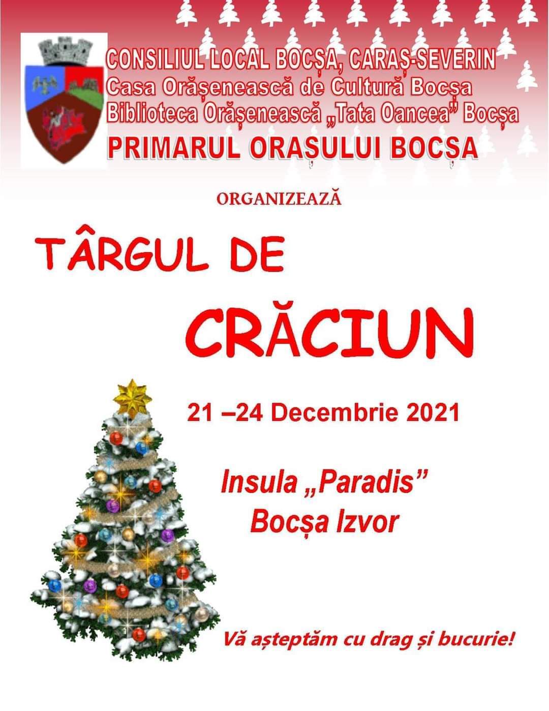 Targ de Craciun.