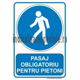 4xj5m_pasaj-obligatoriu-pentru-pietoni.jpg