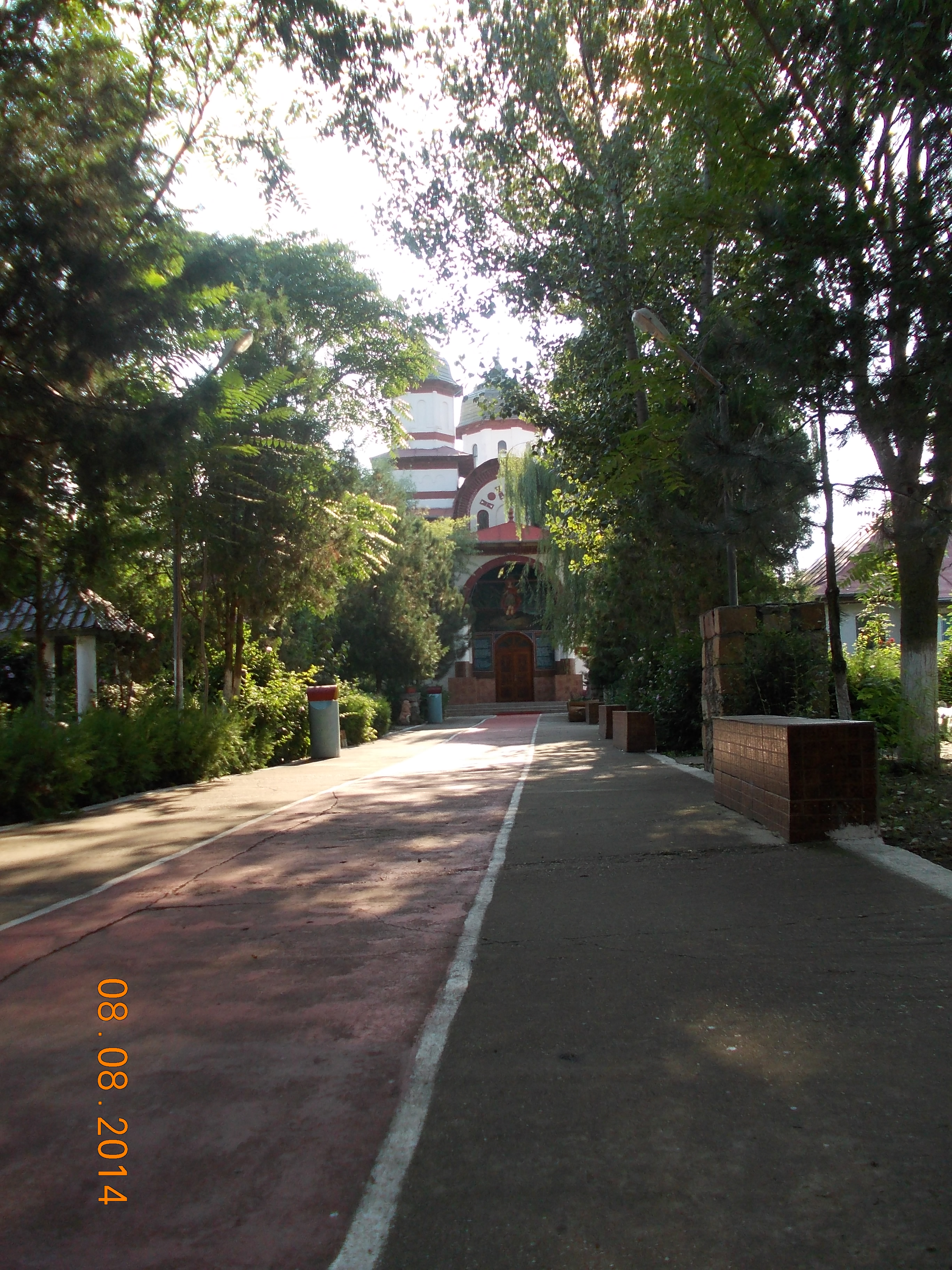 Aleea spre Mănăstirea Radu Negru