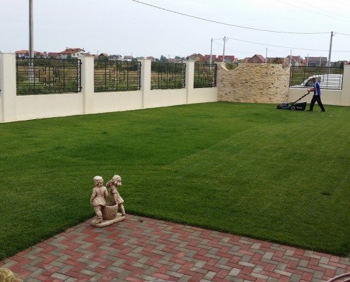 Amenajare-si-intretinere-gazon-495x400.jpg