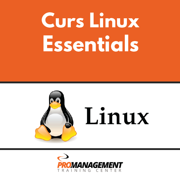 Artboard 1 copy 2.png