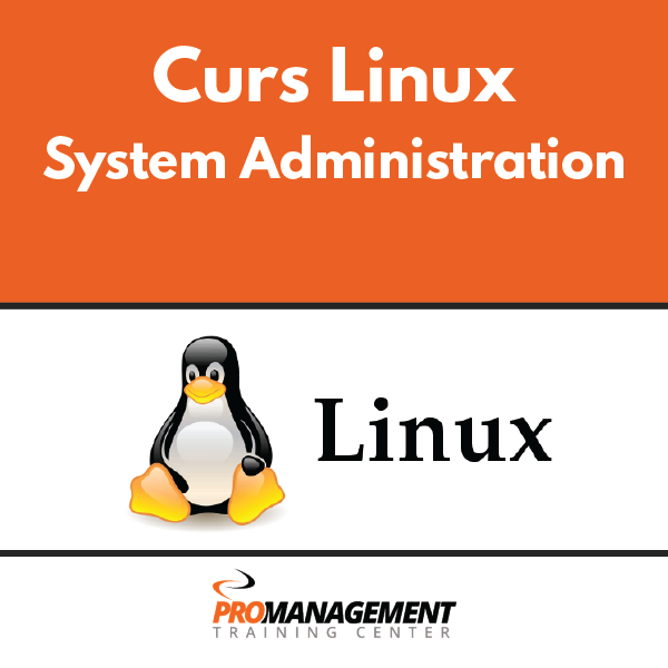 Artboard 1 copy 7.png