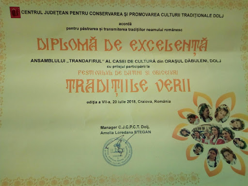 DiplomăobținutădeAnsamblul”Trandafirul”Dăbuleni.jpg