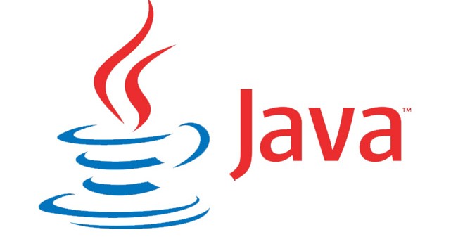 Programare Java logo.jpg