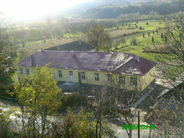 ScoalaNanesti-Barsana.jpg