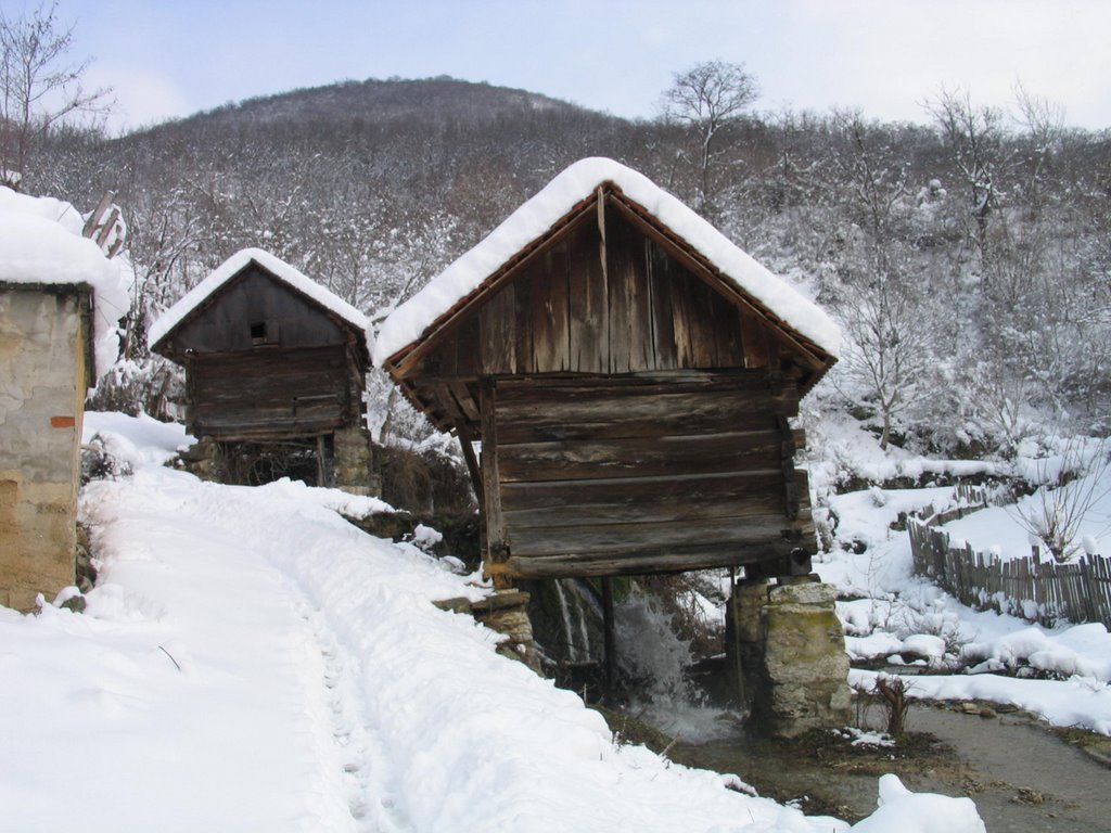 Toplet-Ianuarie.jpg