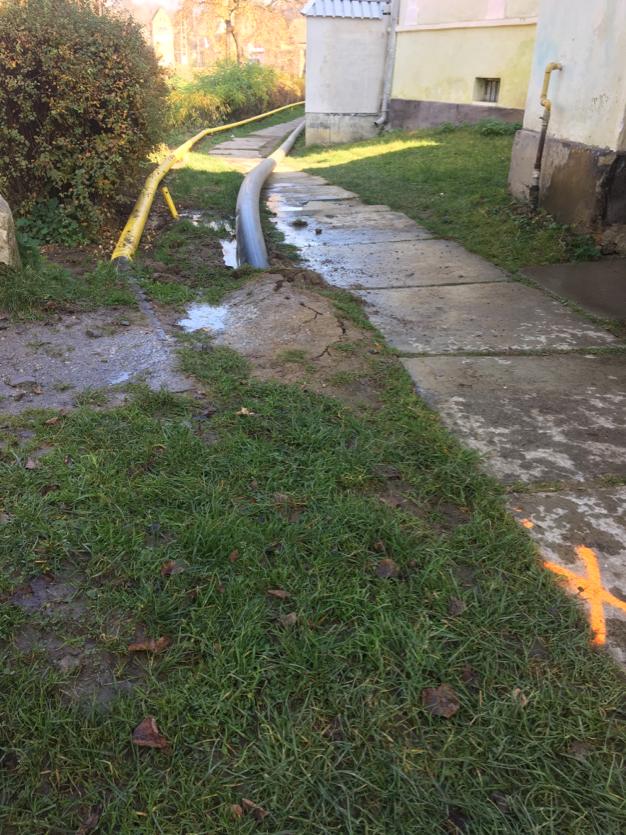 WhatsApp Image 2020-01-20 at 17.07.20 (5).jpeg