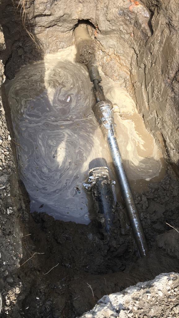 WhatsApp Image 2020-01-20 at 17.07.21 (3).jpeg