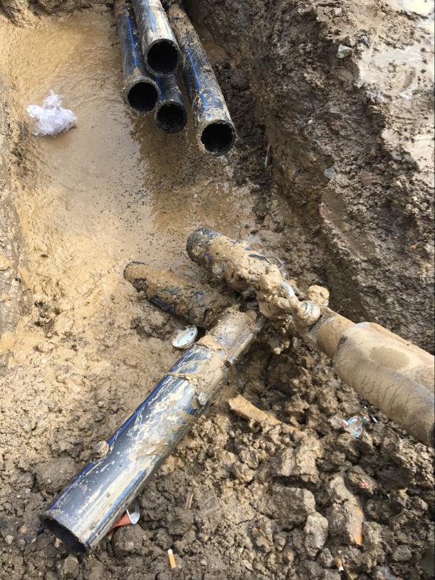 WhatsApp Image 2020-01-20 at 19.59.26 (7).jpeg