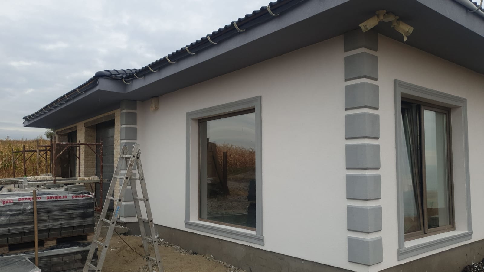 WhatsApp Image 2020-02-04 at 17.46.52.jpeg