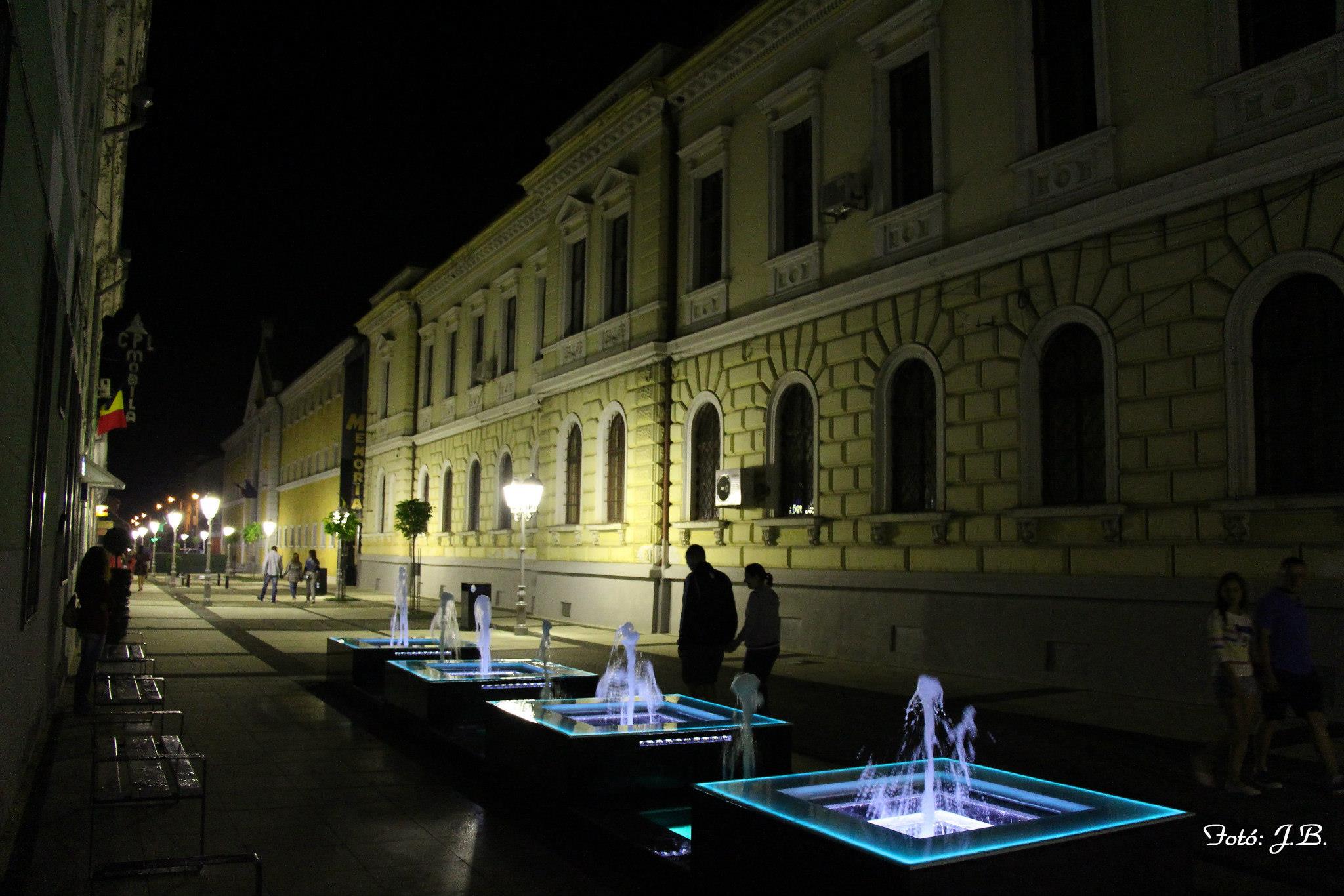 b440o_strada Corneliu Coposu.jpg