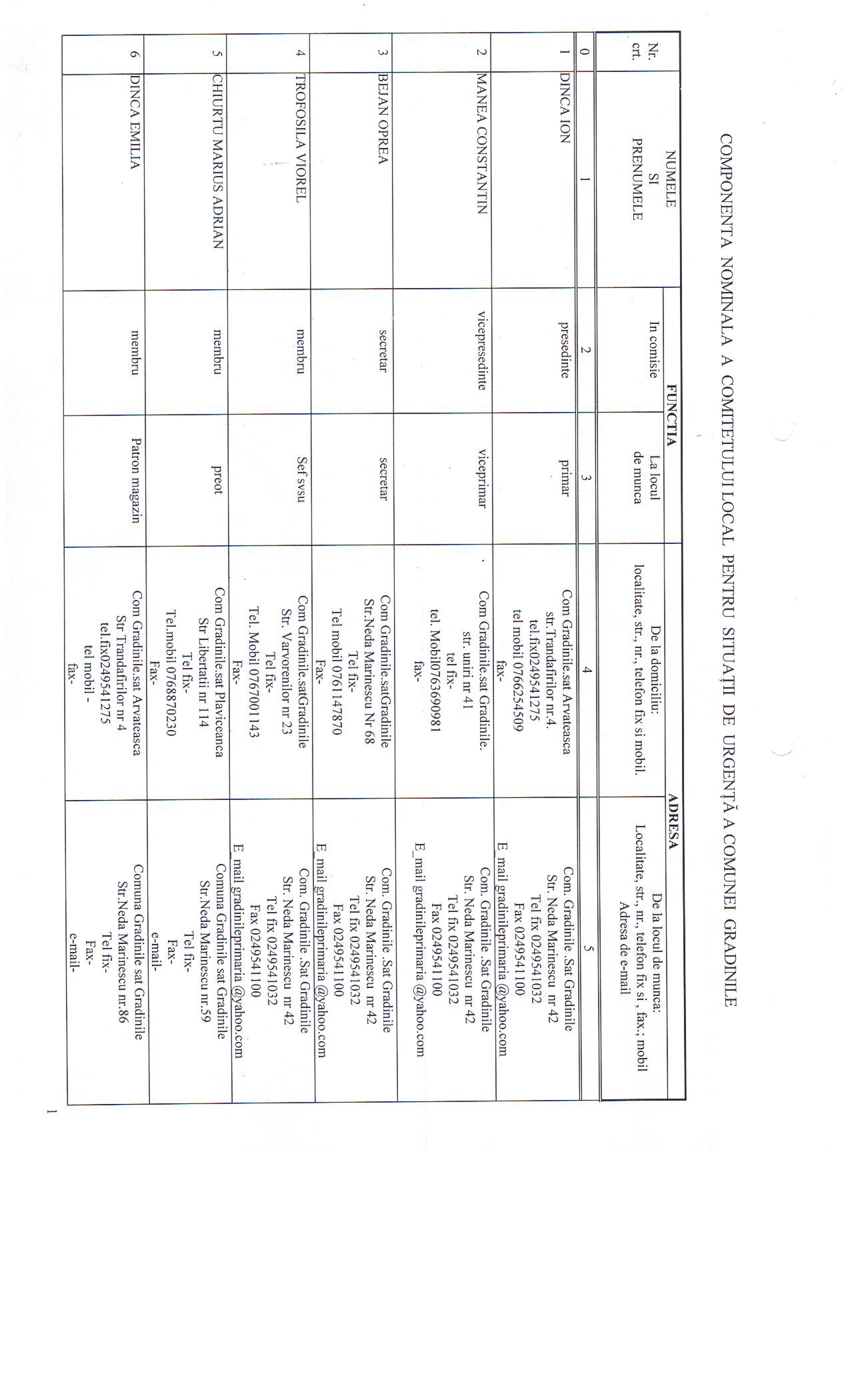 b7aqe_componenta comitetului.jpg