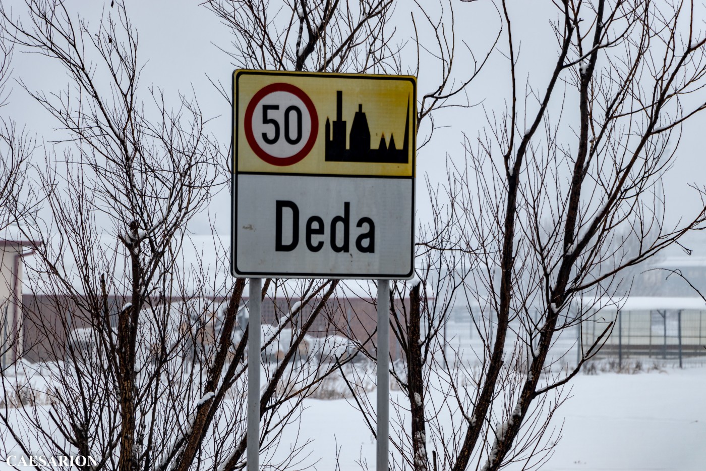 deda 11.jpg