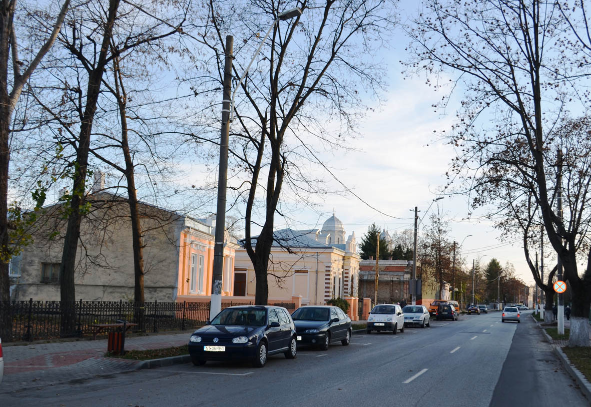 ec0hn_Centrul istoric.jpg