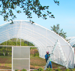 ek548_imagine folie solarii meniuri.jpg