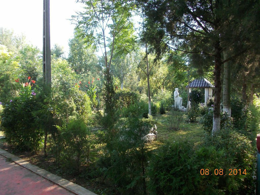 Părculeț Mănăstirea Radu Negru