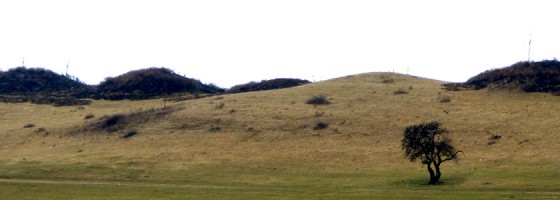 Piramidele Dacilor Oarța de Sus