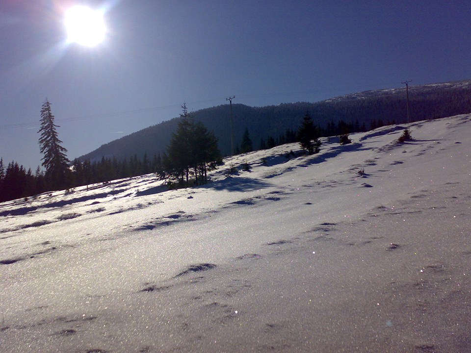 Iarna pe muntele Vlădeasa