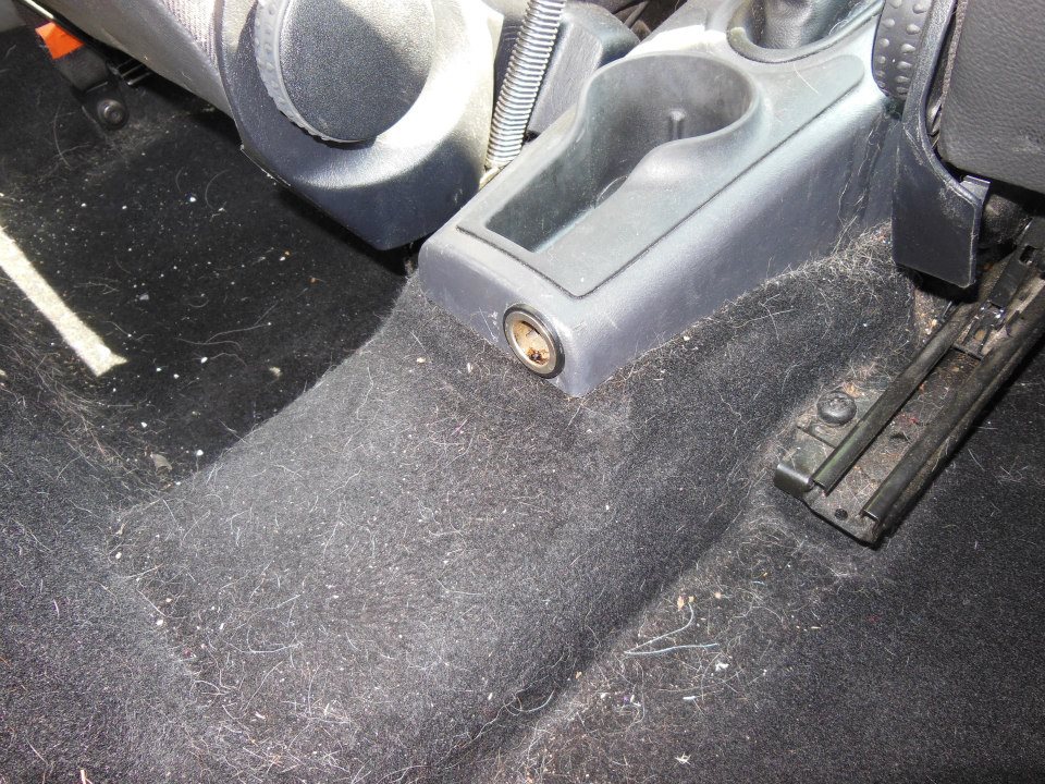 jsp6g_Focus inainte.jpg